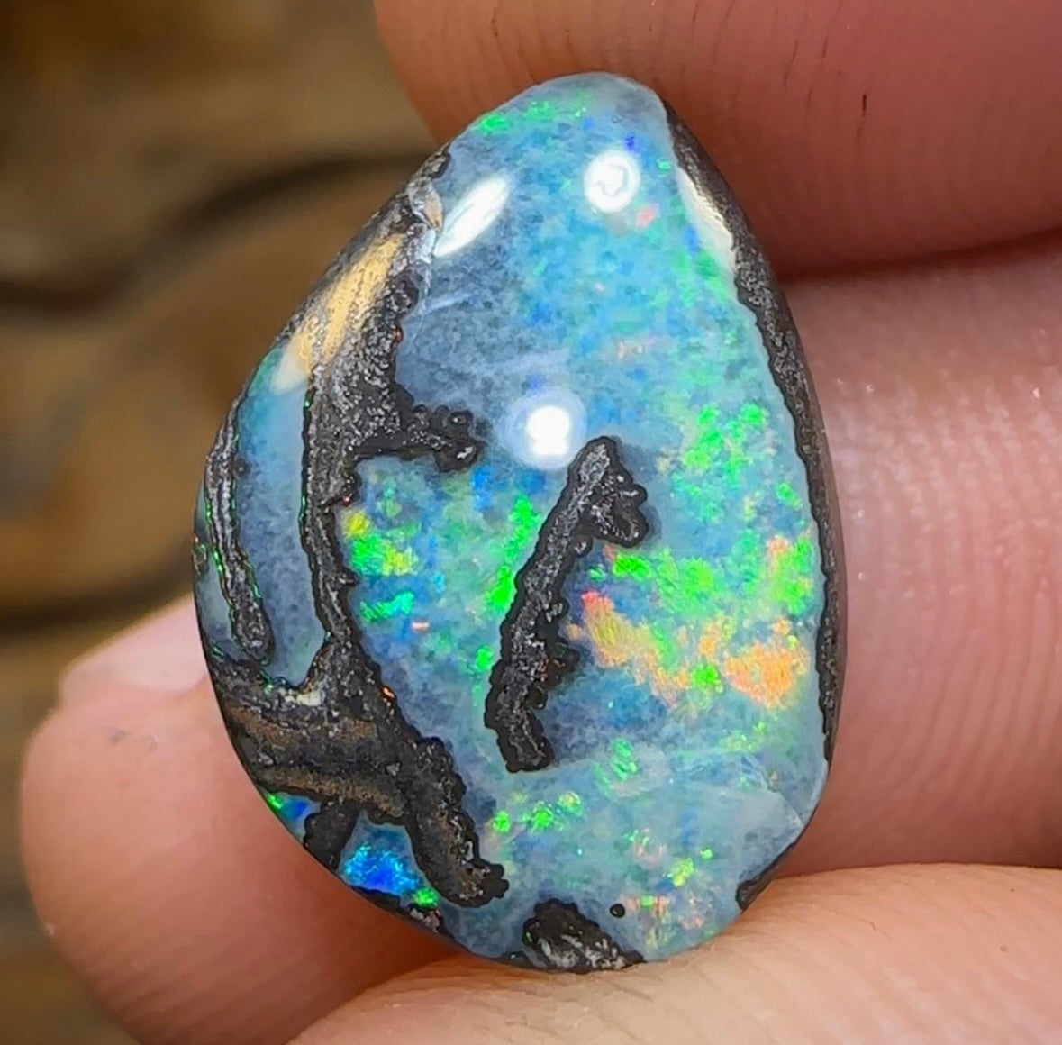 5.7cts - Solid Queensland Boulder Australian Opal - Opal Whisperers