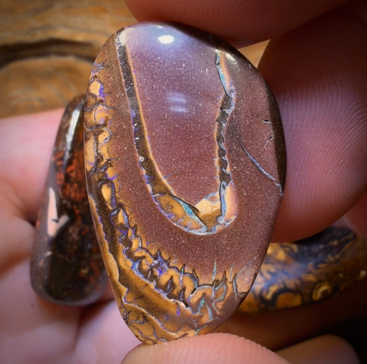 168.4cts - 5x Australian Tribal Boulder Opal’s. Wholesale Dealers Parcel