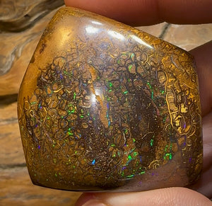 428.5cts - XLarge Tribal Pattern Koroit Nut Opal Specimen - Opal Whisperers