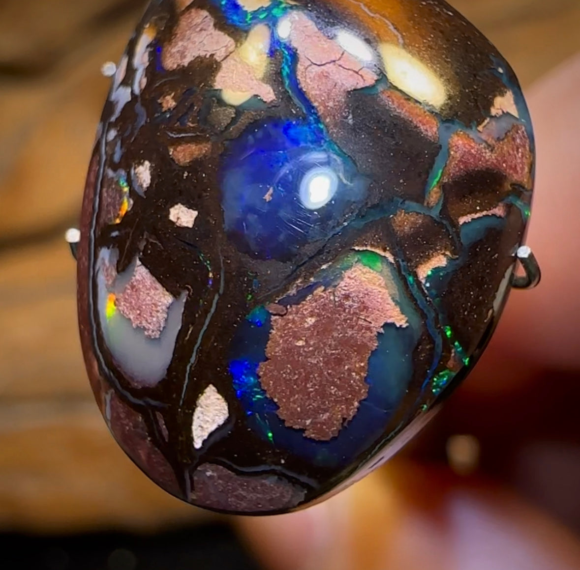 16.4cts - Top Tribal Queensland Boulder Opal from Koroit with Kernels