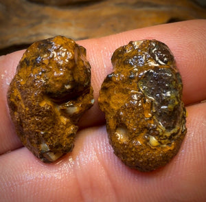 34.8cts - Yowah Nut Partial Crystal Centre Rough Specimen Pair
