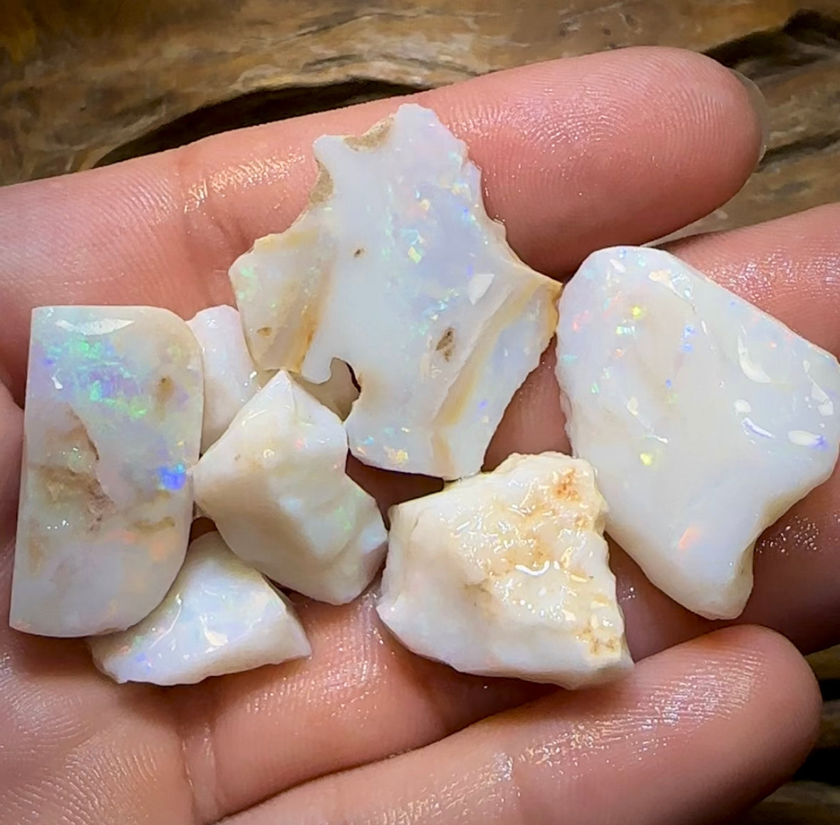 (Template) 98.3cts - 7x South Australian White Opal Rough Pieces - Opal Whisperers
