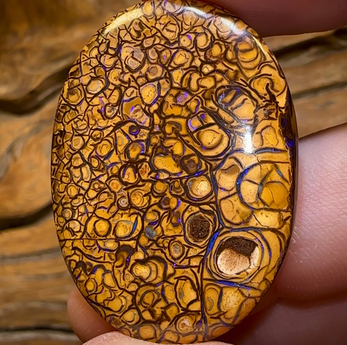 48.7cts - “Pineapple” Yowah Nut Tribal Opal., Double Sided - Opal Whisperers