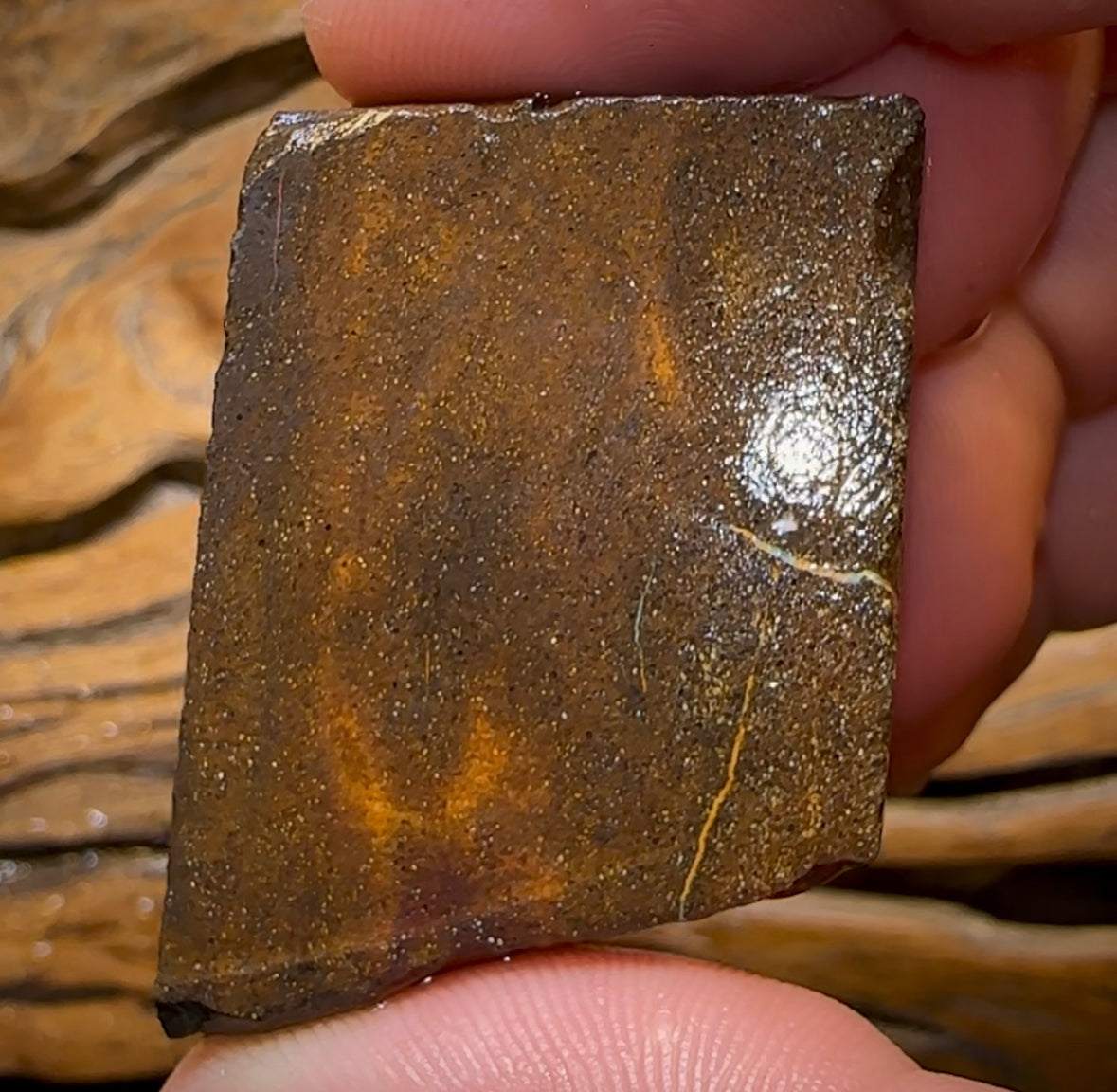 105.6cts - Australian Boulder Opal Rough Preform. Natural Split - Opal Whisperers