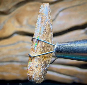 6.2cts - Queensland Boulder Pipe Opal from Yowah with Red