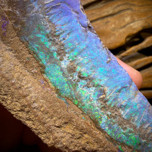 781.5cts - LARGE Queensland Boulder Seam Opal Rough Specimen