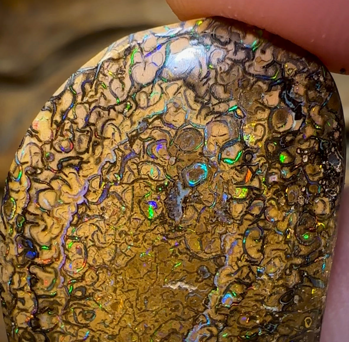 51.3cts - Yowah Nut Tribal. Australian Boulder Opal - Opal Whisperers