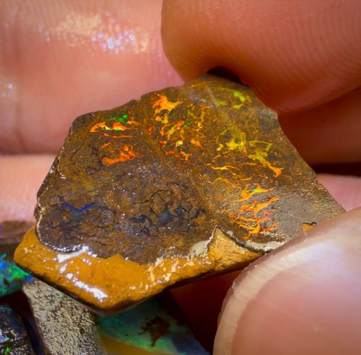 🔒50.6cts - 4x Australian Boulder Opal Rough Parcel