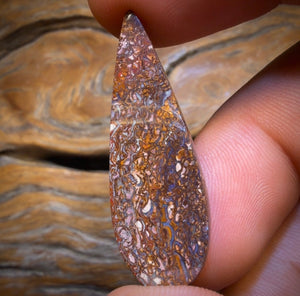 17.4cts - Tribal Yowah Nut Opal. Australian Opal