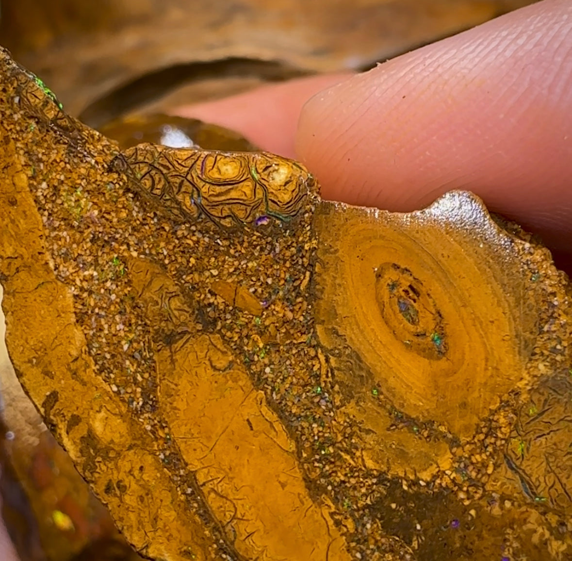 337.3cts - 3x Yowah Nut Rough Opal Parcel. Queensland Boulder Opal - Opal Whisperers