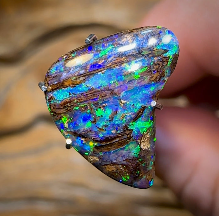 (Template) 2.1cts - Australian Boulder Wood Fossil Opal - Opal Whisperers