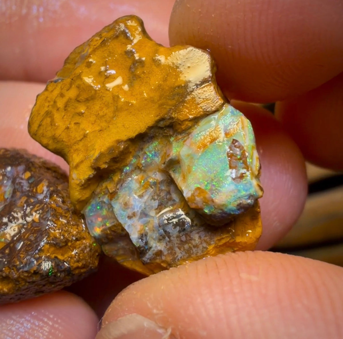 🔒183,2 ct – 6x Rohopal aus Yowah-Nuss. Australischer Boulder-Opal.