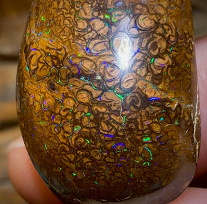 47.8cts - Yowah Nut Tribal Opal