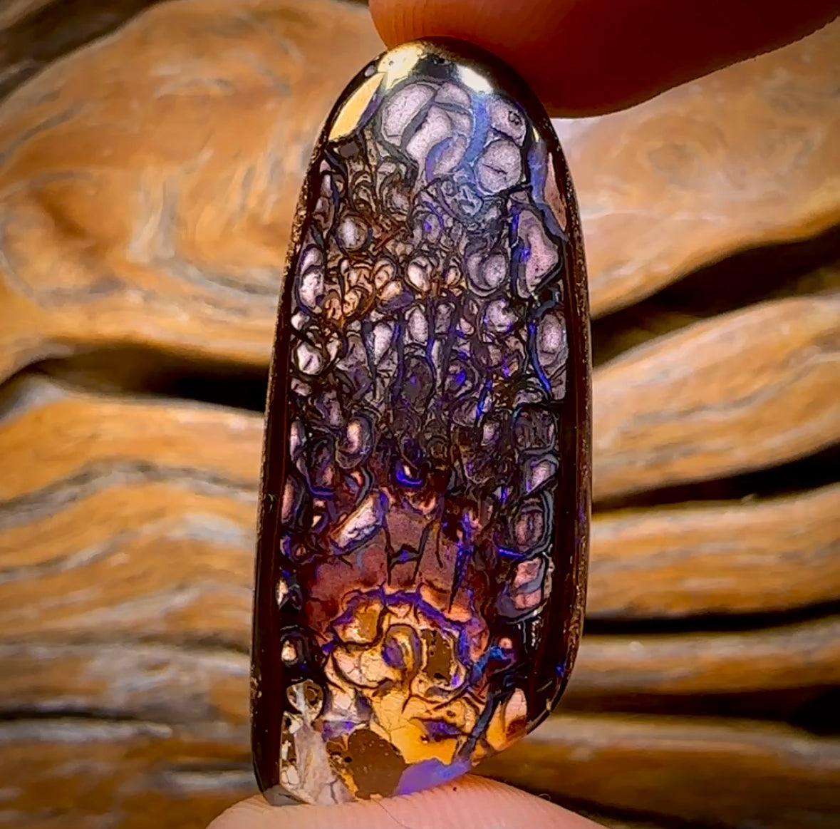 52.2cts - Tribal Yowah Nut Opal. Australian Opal