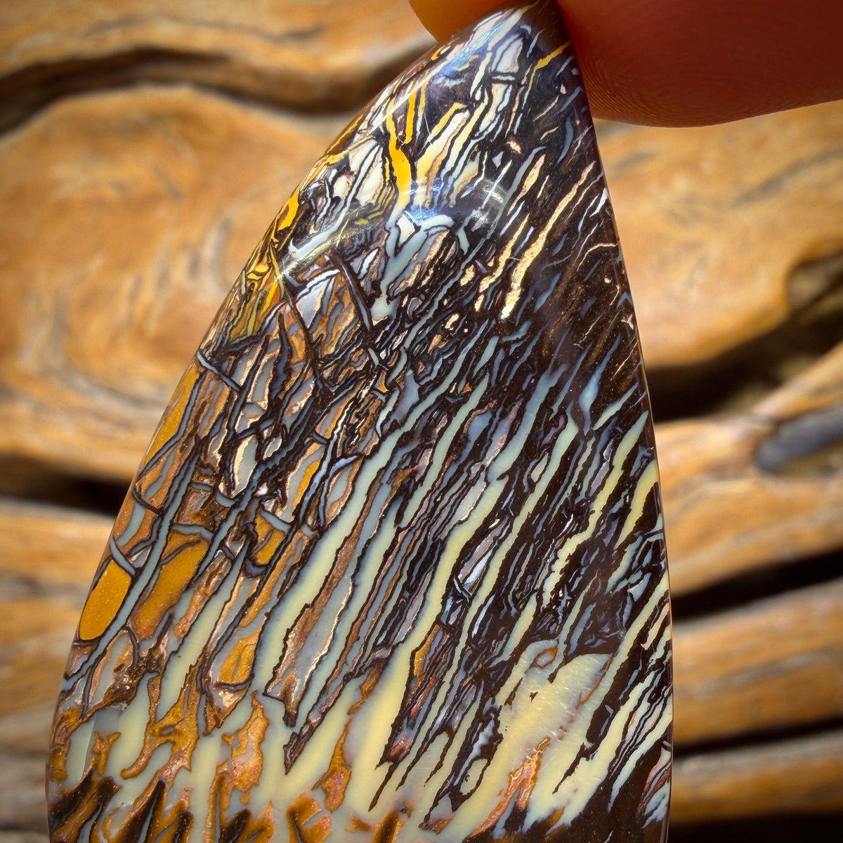 Aren’t you glad you waited wild card! 230.6cts - Top Tribal AO Style Queensland Boulder Opal Matching Pair
