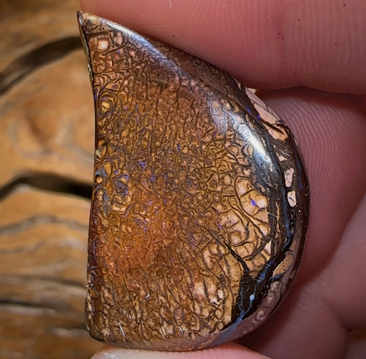 54.6cts - Double Sided Queensland Boulder Opal. Yowah Tribal - Opal Whisperers