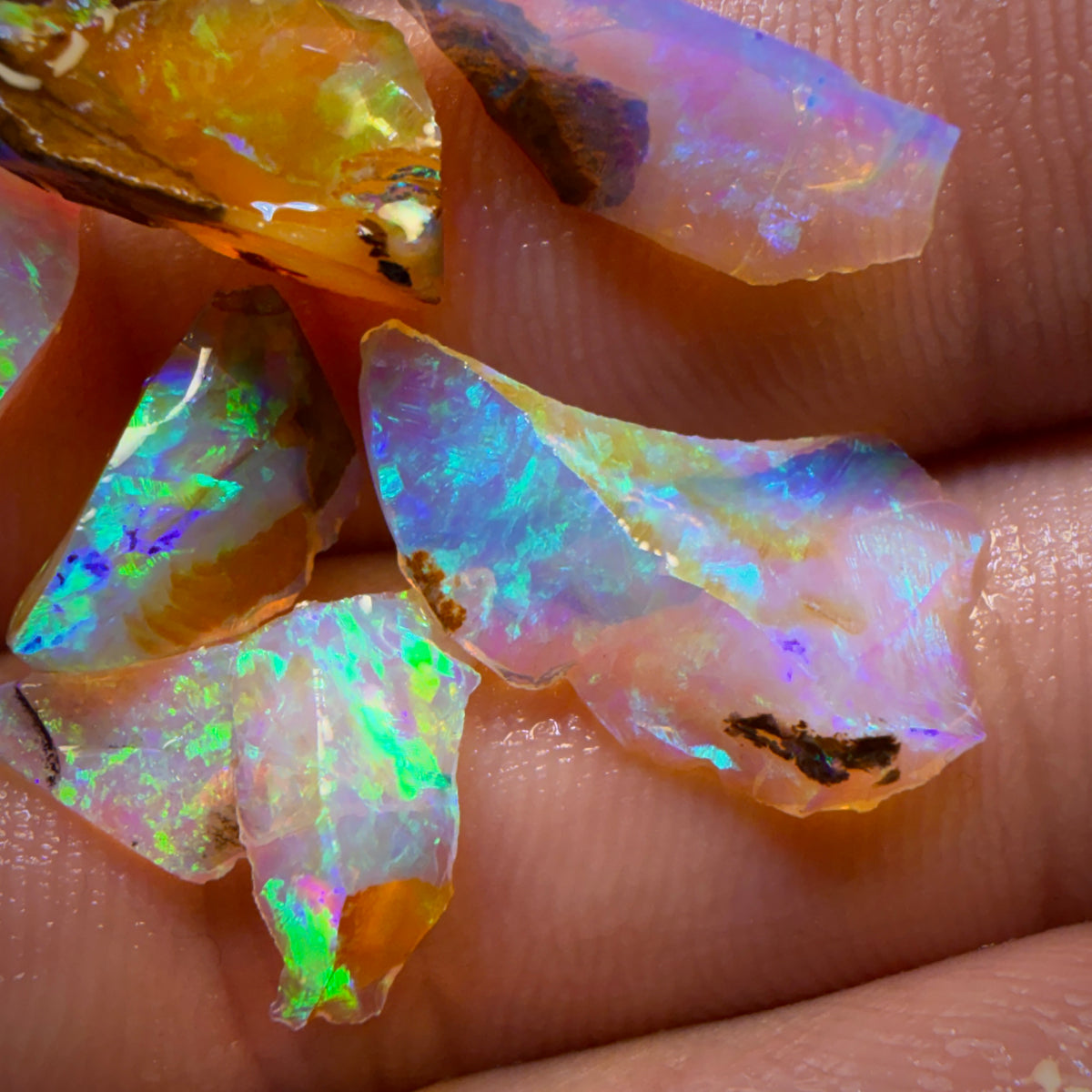 13.1cts - 7x Australian Yowah Wood Crystal Opal Rough Pieces. Highly Prized Material