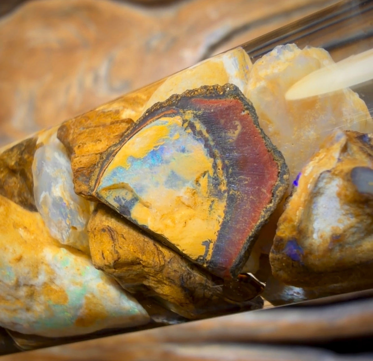 121,8 ct – Phiole mit Yowah-Nussopal-Rohstein und fossilem Opal