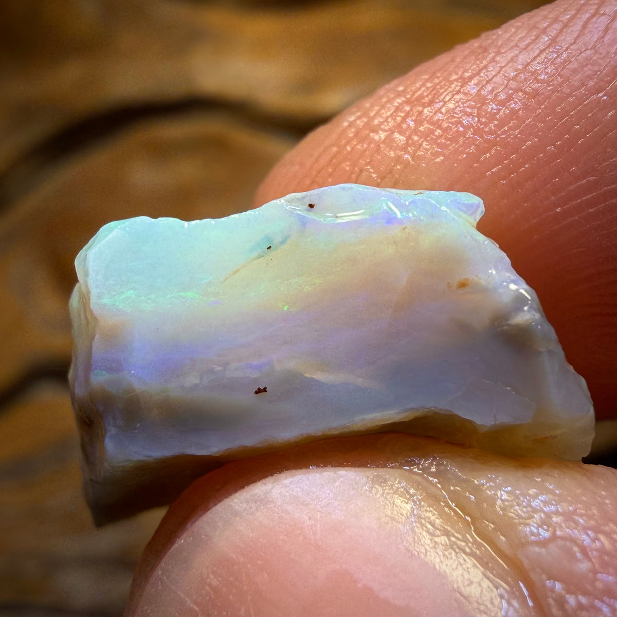 12.7cts - Lightning Ridge Dark Opal Rough Piece