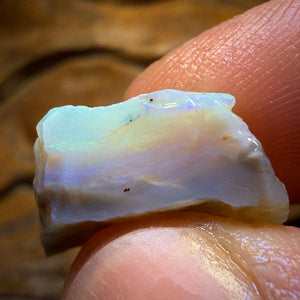 12.7cts - Lightning Ridge Dark Opal Rough Piece