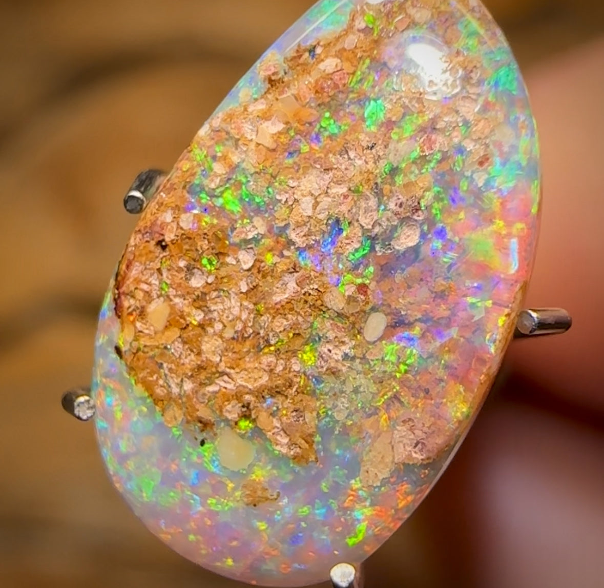2.2cts - Solid Australian Boulder Pipe Opal