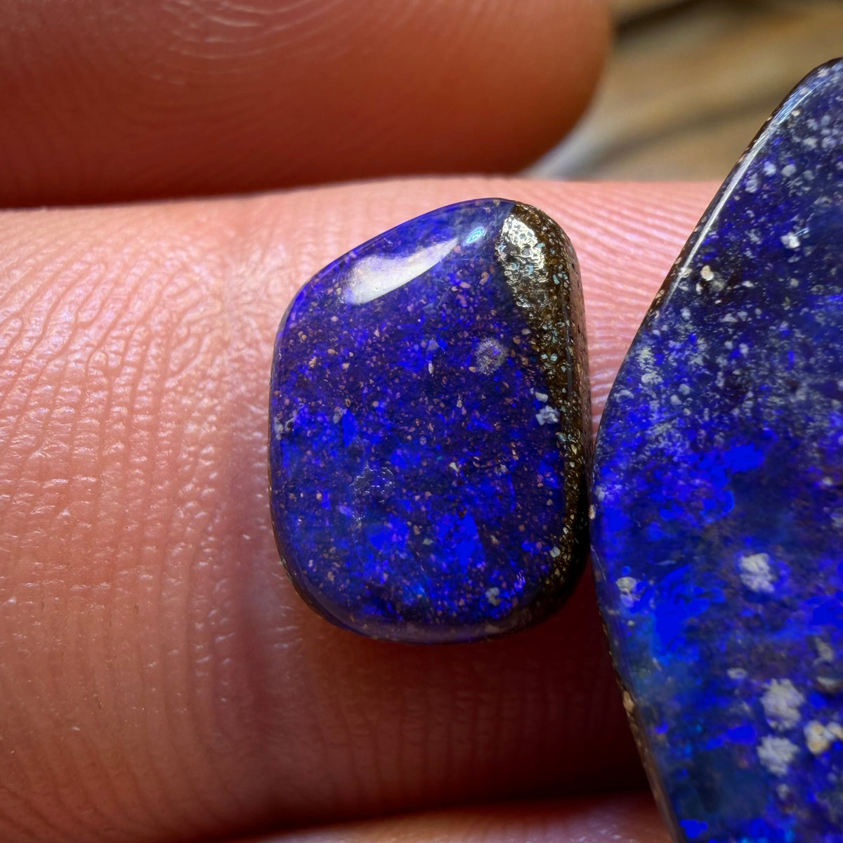 Half Price Card 6.2cts - Australian Boulder Seam Opal Pair