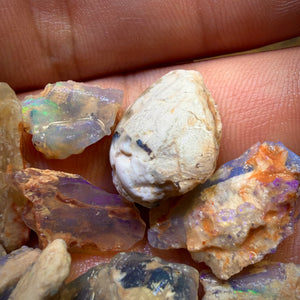 67.9cts - 13x Opalised Fossil Geological Specimens from Lightning Ridge