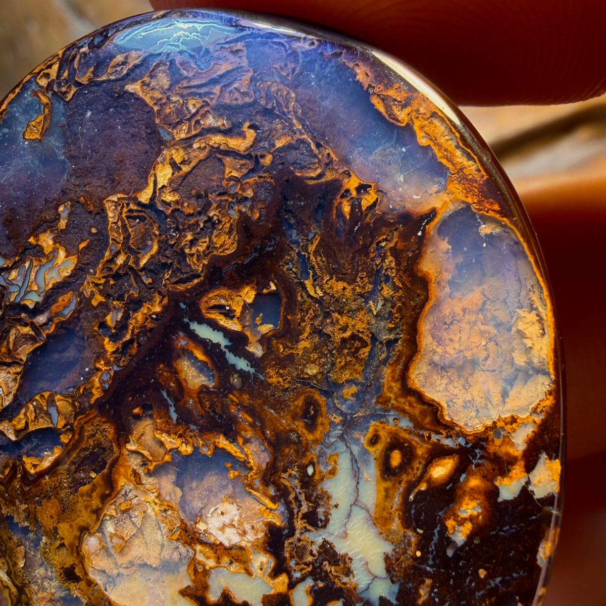 OpalFest WildCard! The Travelers Awesome Picture Stone 148.3cts - Tribal Yowah Nut Kernel Opal. Australian Opal