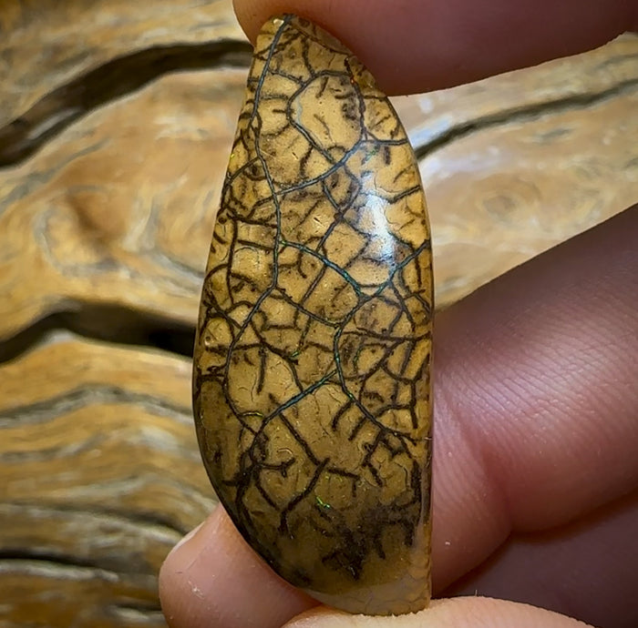 🔨 AUCTION 🔨 No Reserve 25.9cts - Yowah Nut Tribal Opal