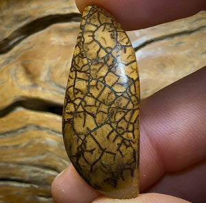 Auction Fall-Through = Your Gain! 🔥 Now More Than 50% Off RRP 🚨 25.9cts - Yowah Nut Tribal Opal