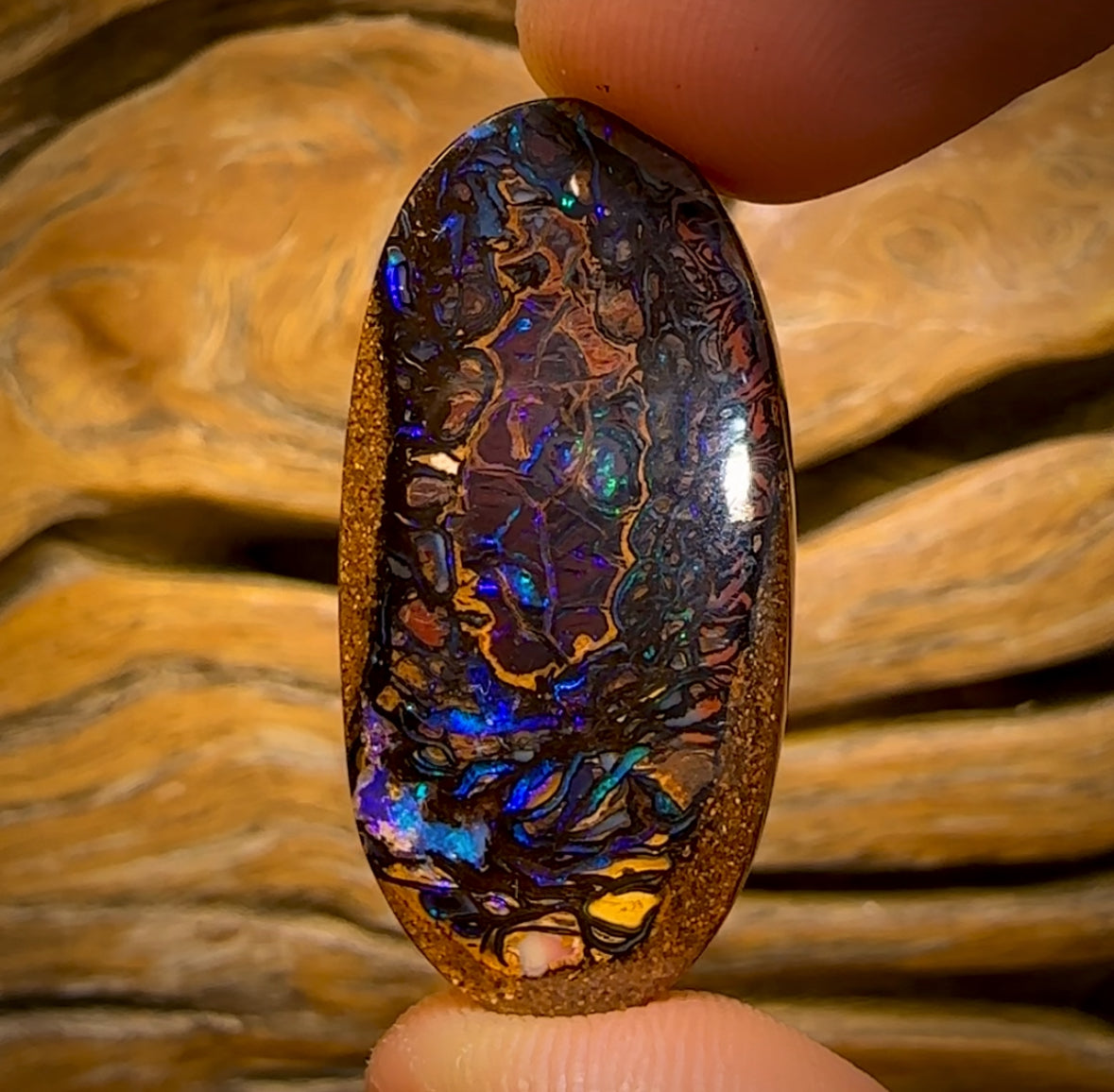 41.4cts - Tribal Australian Boulder Opal from Yowah