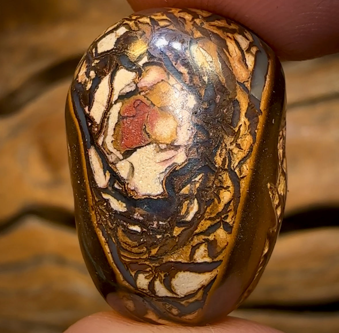 Auction Fall-Through = Your Gain! 🔥 Now More Than 50% Off RRP 🚨 24 x 17mm - Drilled Tribal Queensland Boulder Opal Bead VERY LIMITED