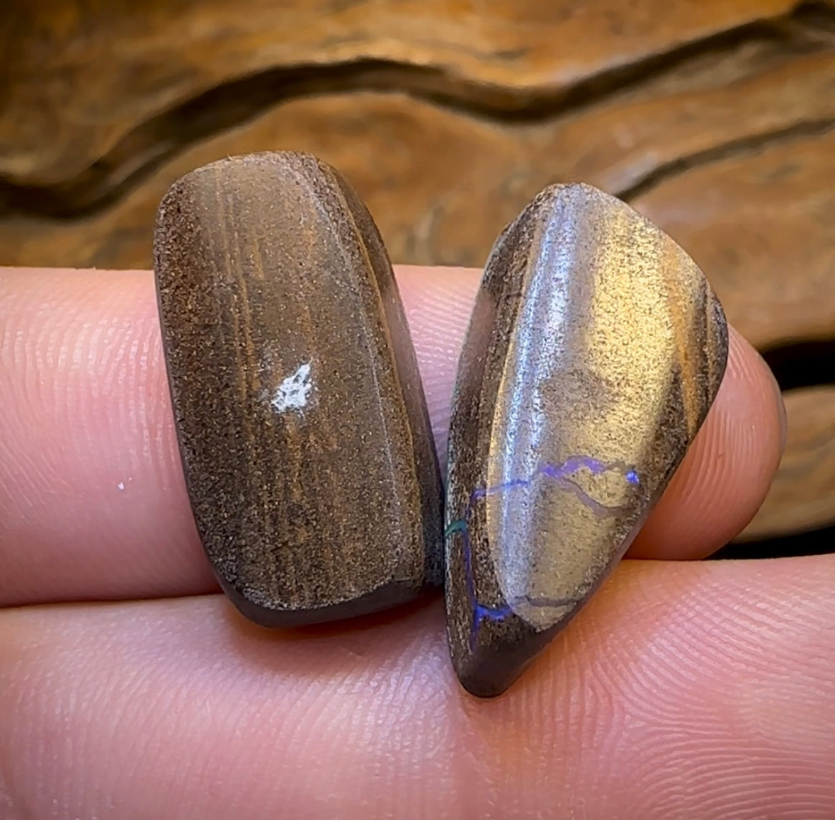 34.1cts - Australian Boulder Opal Set - Opal Whisperers