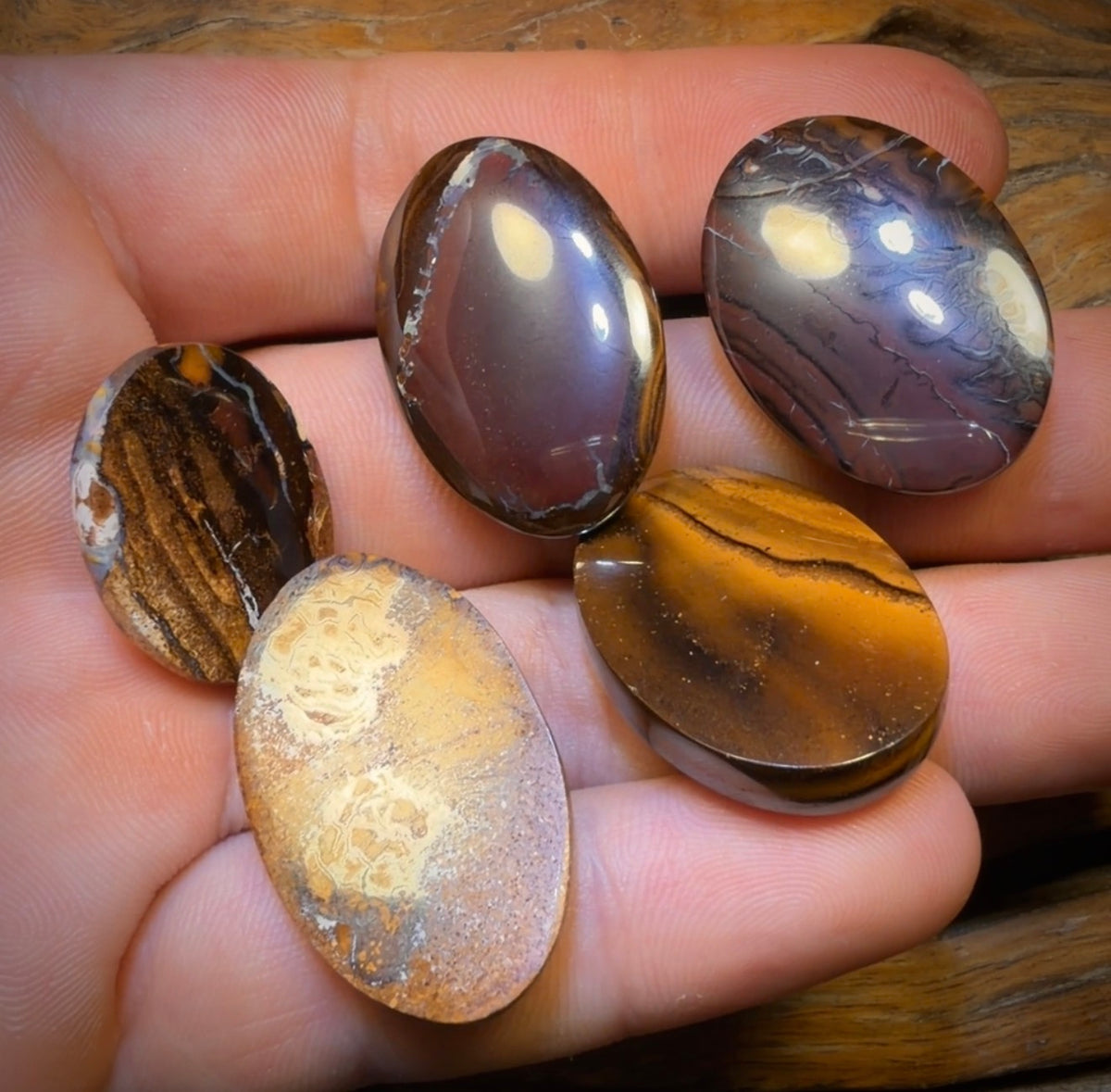 178.7cts - 5x Australian Boulder Opal’s. Wholesale Dealers Parcel