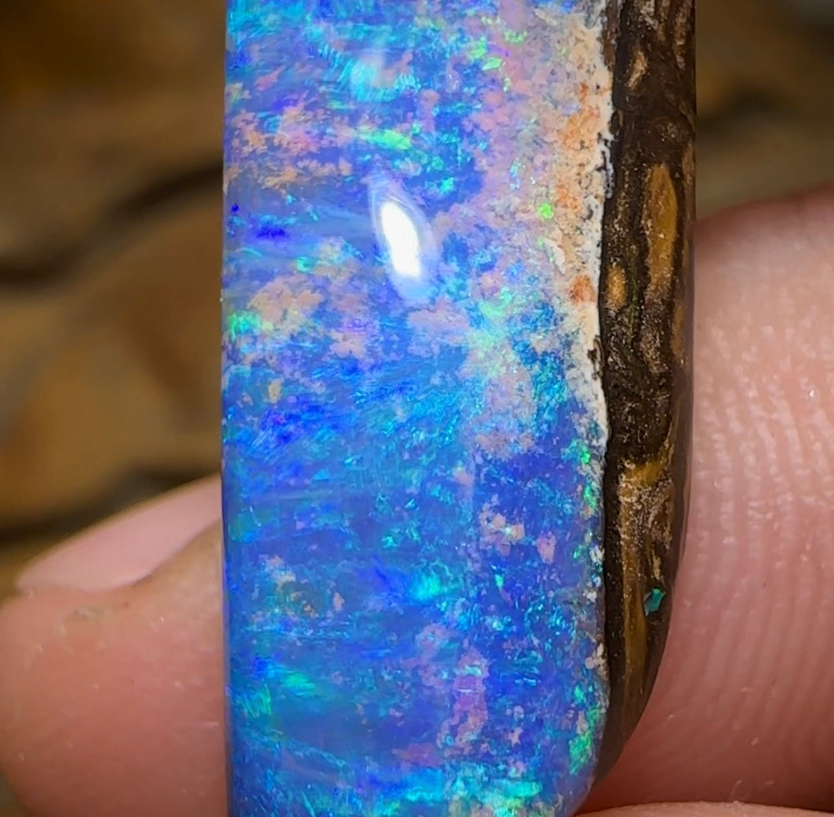 15cts - “Celebrity Stone” Solid Australian Boulder Opal Pipe Crystal - Opal Whisperers