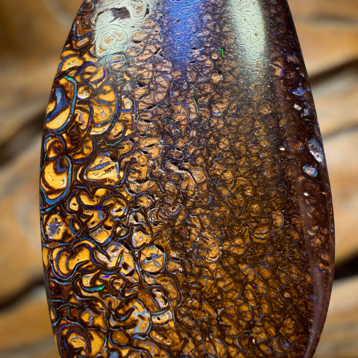 Wildcard! 40 x 17mm - Drilled Tribal Queensland Boulder Opal