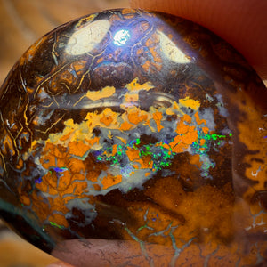 41.4cts - Tribal Koroit Nut Opal. Australian Opal