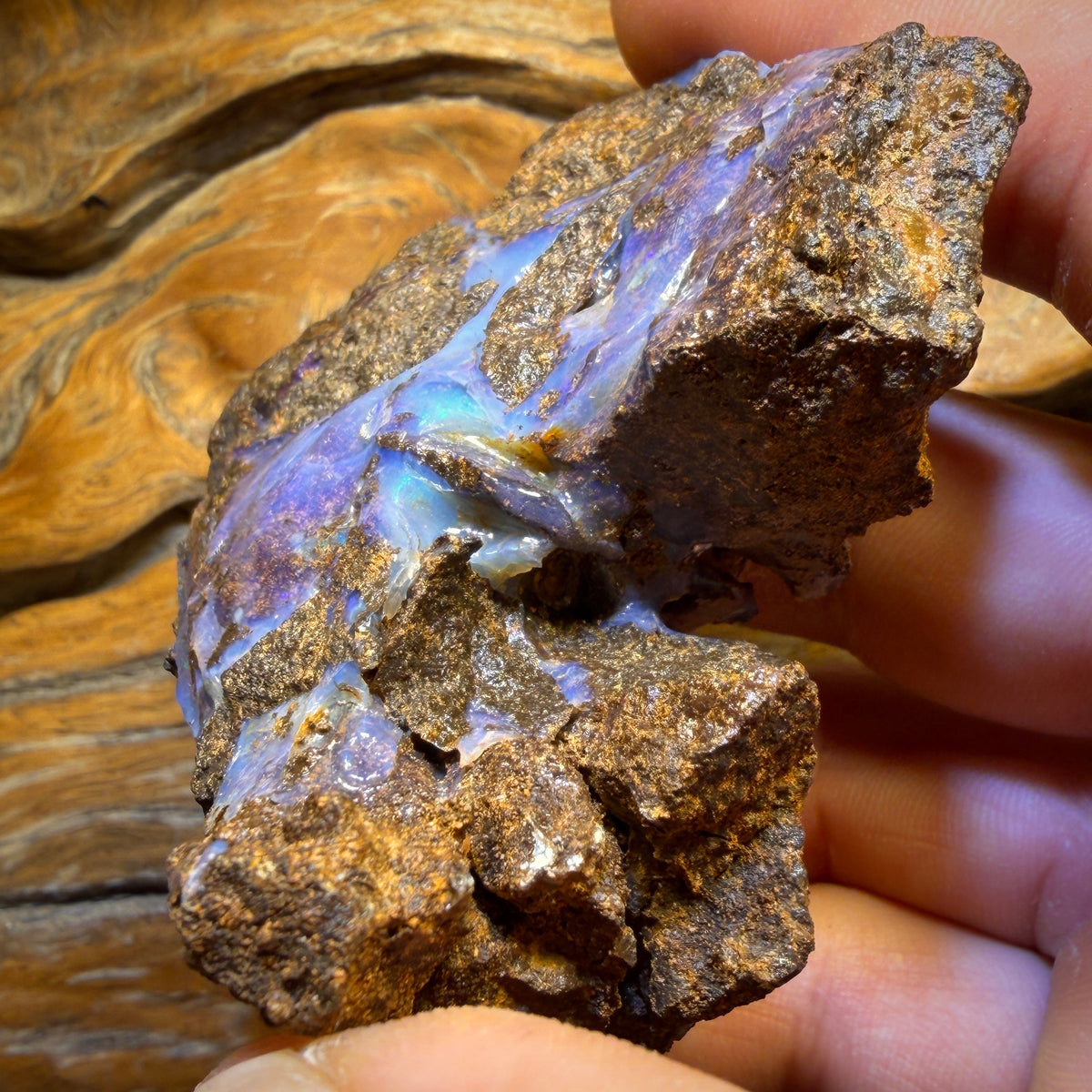 Half Price Card! 776cts - Queensland Boulder Seam Opal Rough Piece Less than 0.50c/ct