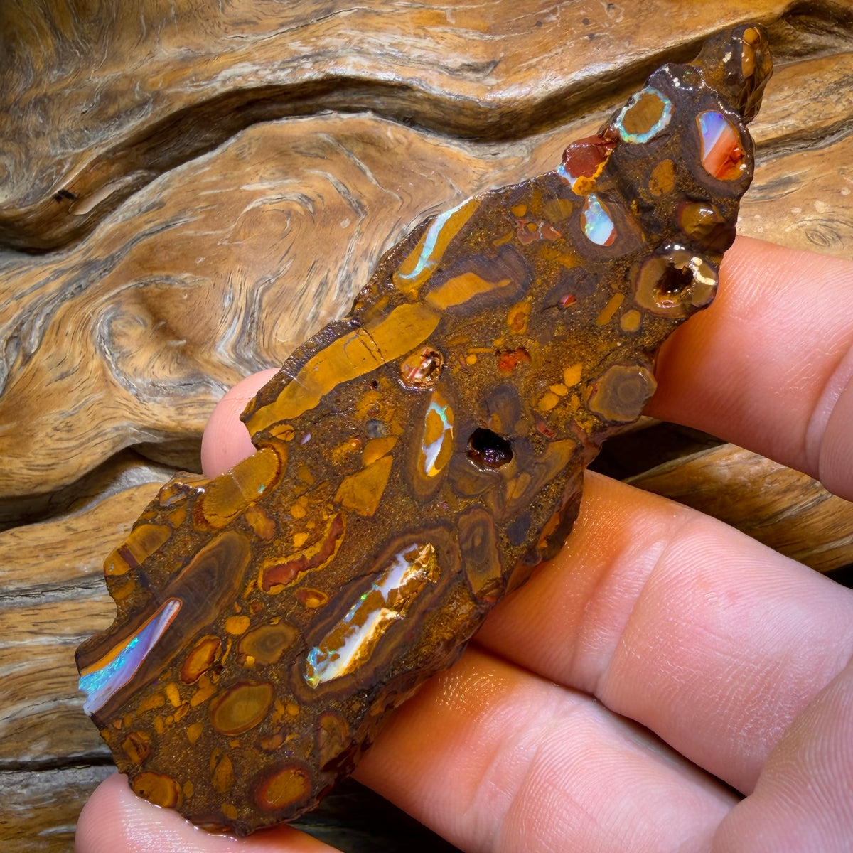 HDW 285.9cts - Yowah Nut Conglomerate Rough Piece. Australian Boulder Opal