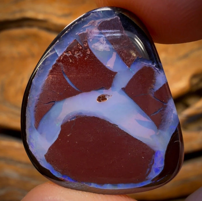 🔨 AUCTION 🔨 26.6cts - Yowah Nut Kernel Opal. Australian Boulder Opal