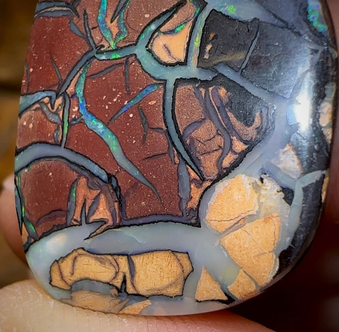 56.1cts - Tribal Koroit Nut Opal. Queensland Boulder Opal - Opal Whisperers