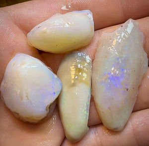 71.4cts - 4x Opalised Shell Geological Specimens from South Australia