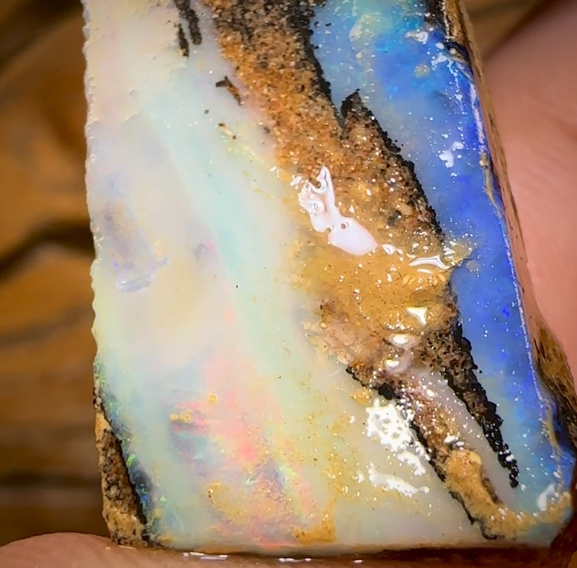 Bargain card! 85.1cts - 2x Queensland Boulder Pipe Opal Rough Pieces