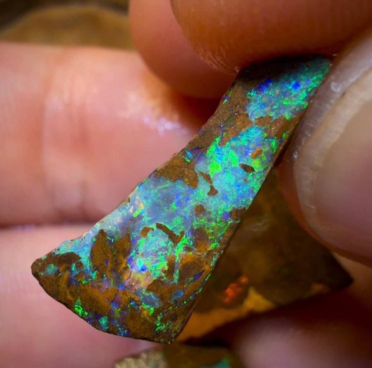 🔒50.6cts - 4x Australian Boulder Opal Rough Parcel