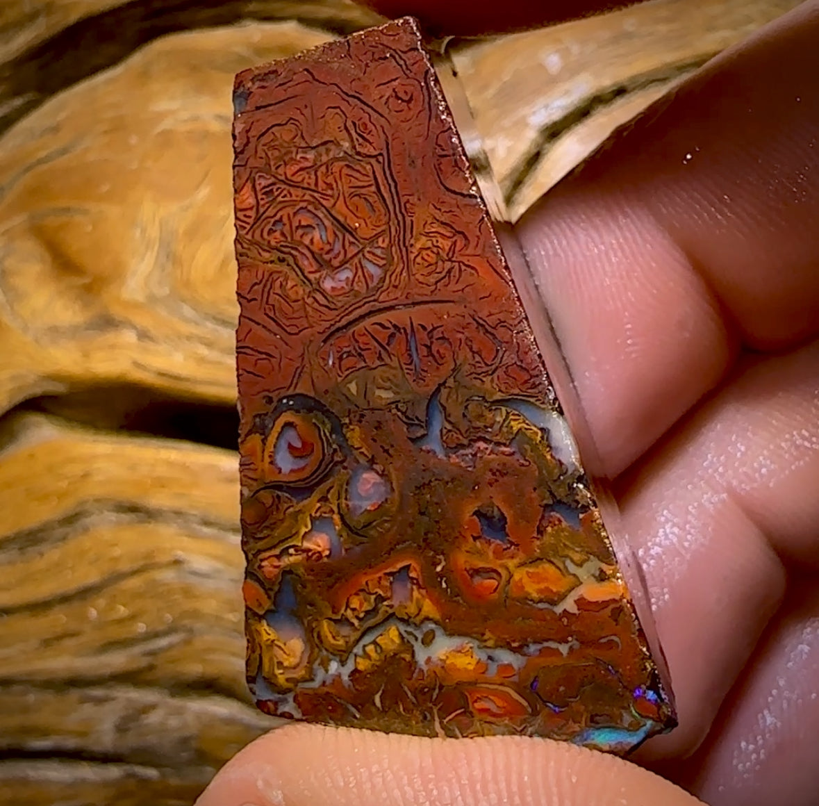 173,1 ct – Rohstück eines Boulderopals aus Koroit, Queensland (Stammesgebiet)
