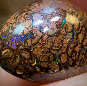 16.6cts - Yowah Nut Opal. Tribal Pattern