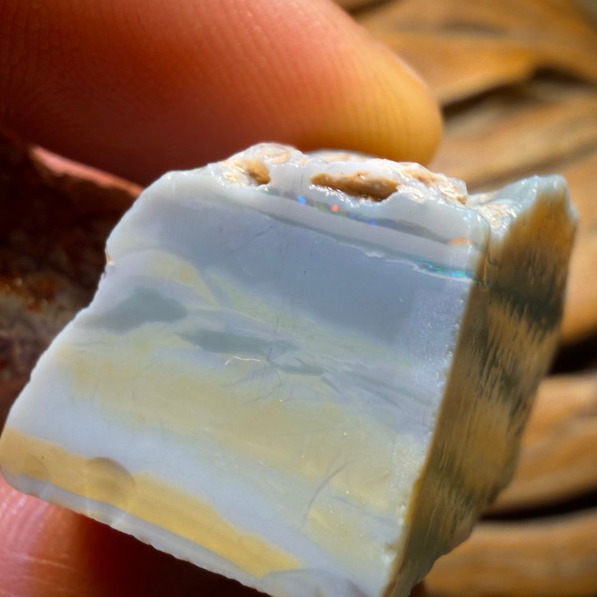 217.1cts - 3x Lightning Ridge Opal Rough Parcel