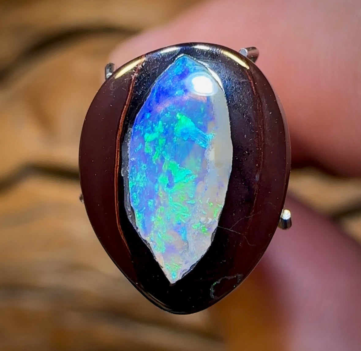 4.6cts - “Sweet Kernel 2”Yowah Nut Kernel Opal. Double Sided - Opal Whisperers