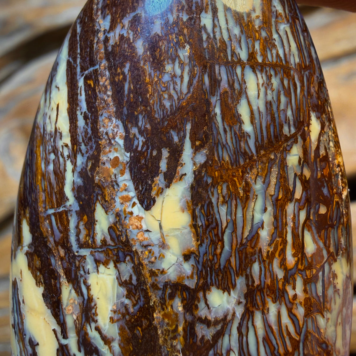 Checkout My WildCard Wood! 159.2cts - Australian Boulder Opal from Yowah. Double Sided