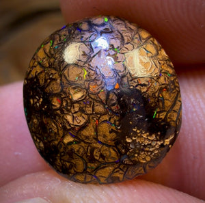 8.4cts - Tan Tribal Yowah Nut Opal. Red Multicolours!